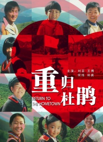 歼20击落